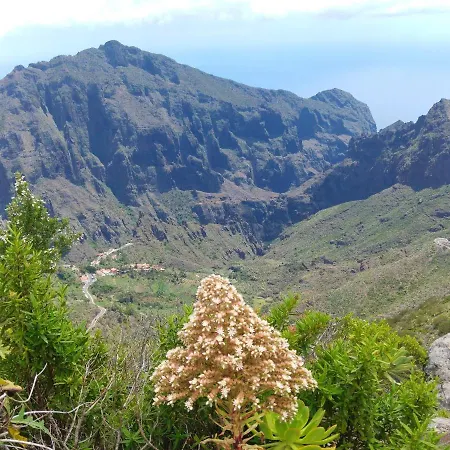 דירה Modern In Candelaria, 130 M² With Shared Pool *