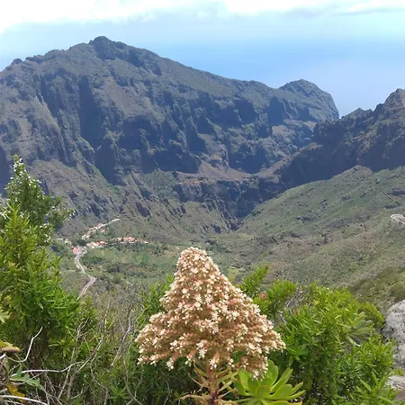 Apartment Mountain View With Pool Candelaria